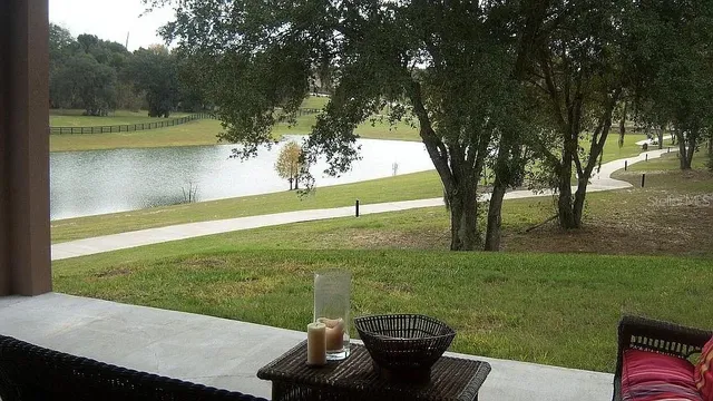 a view of a backyard with plants and lake