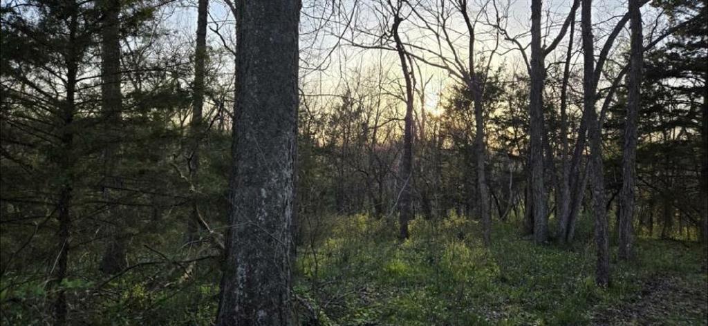 Lot 1 Southwest 295th Road Holden, MO 64040 - Photo 18 of 23