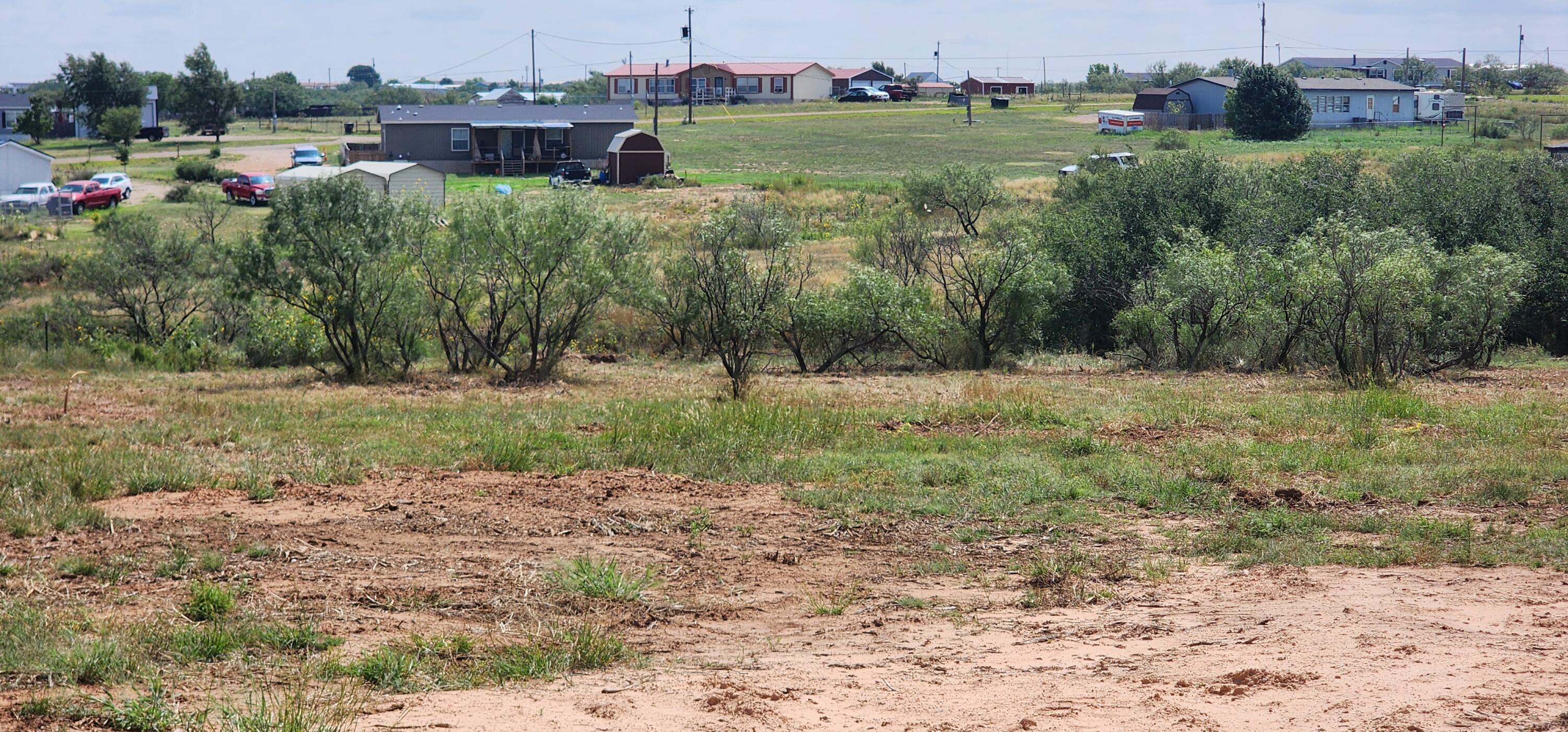 5207 Tomahawk Trail Amarillo, TX 79124 - Photo 4 of 4 a view of a field with a tree
