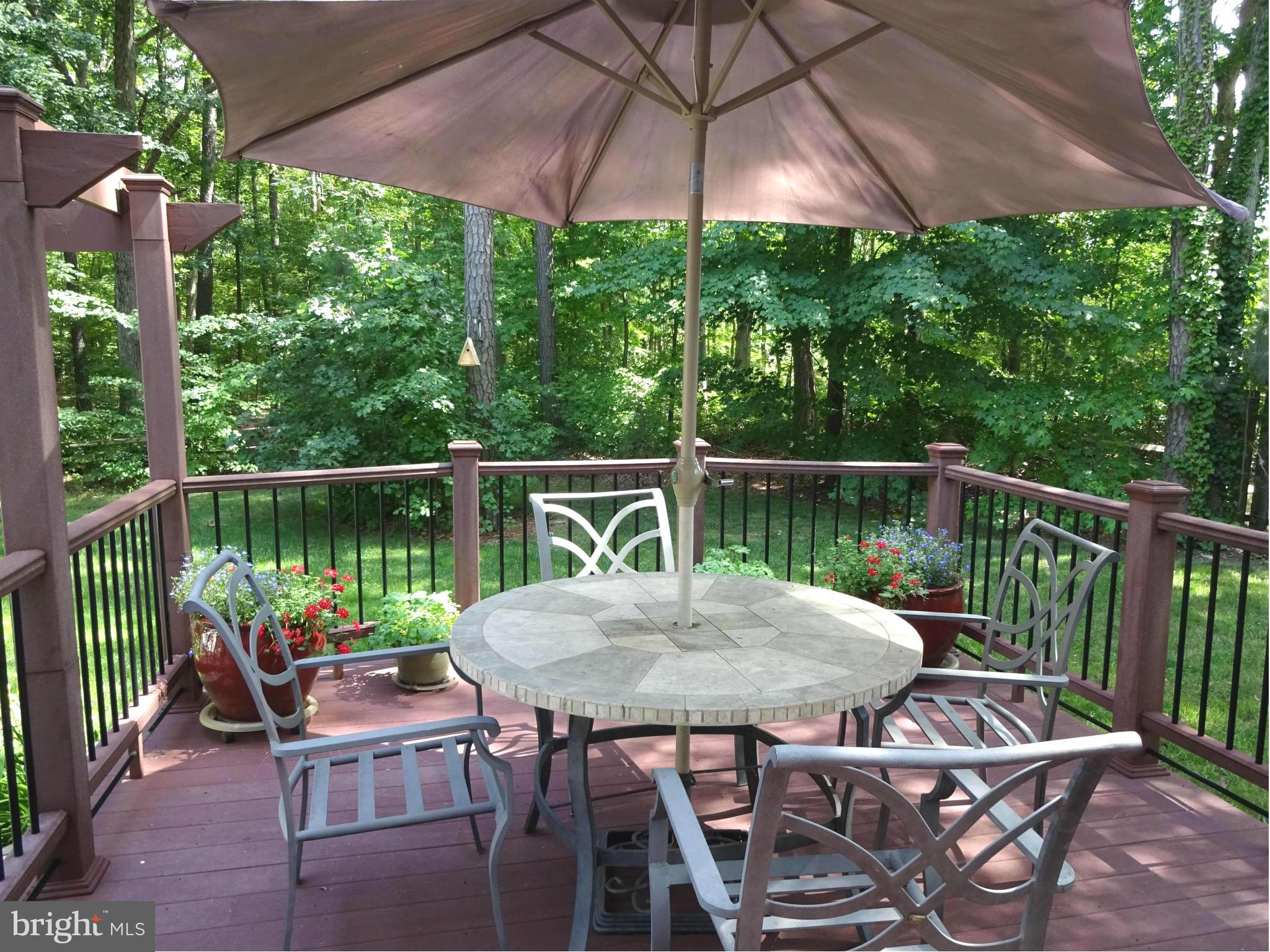 2353 Jenkins Creek Road Cambridge, MD 21613 - Photo 26 of 30 Deck