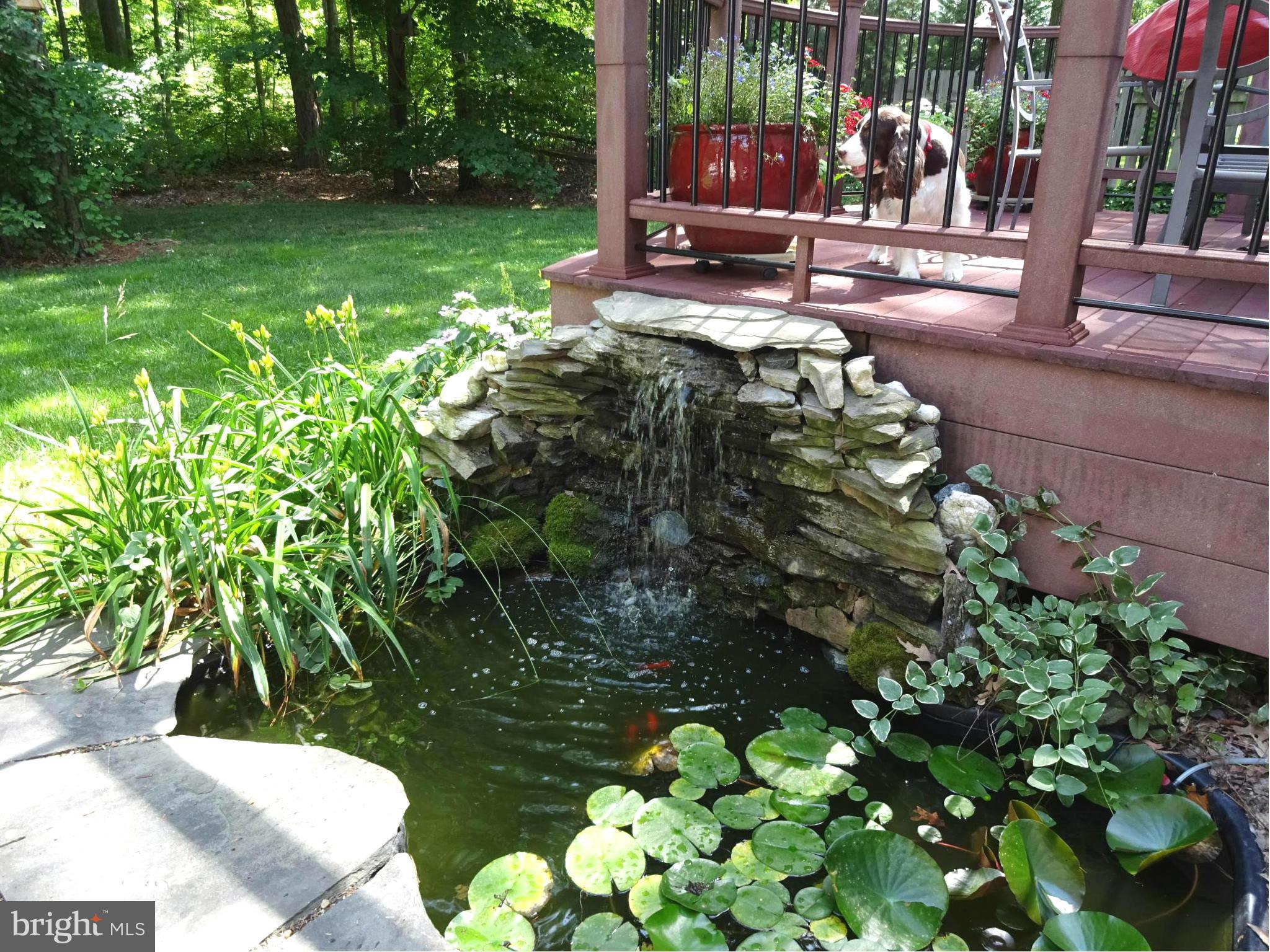 2353 Jenkins Creek Road Cambridge, MD 21613 - Photo 27 of 30 Koi Pond