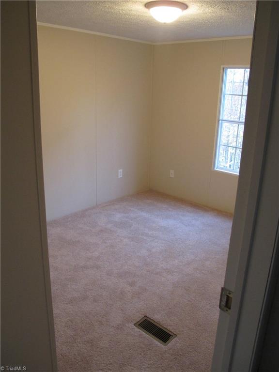 2177 Boiling Springs Road Purlear, NC 28665 - Photo 13 of 40