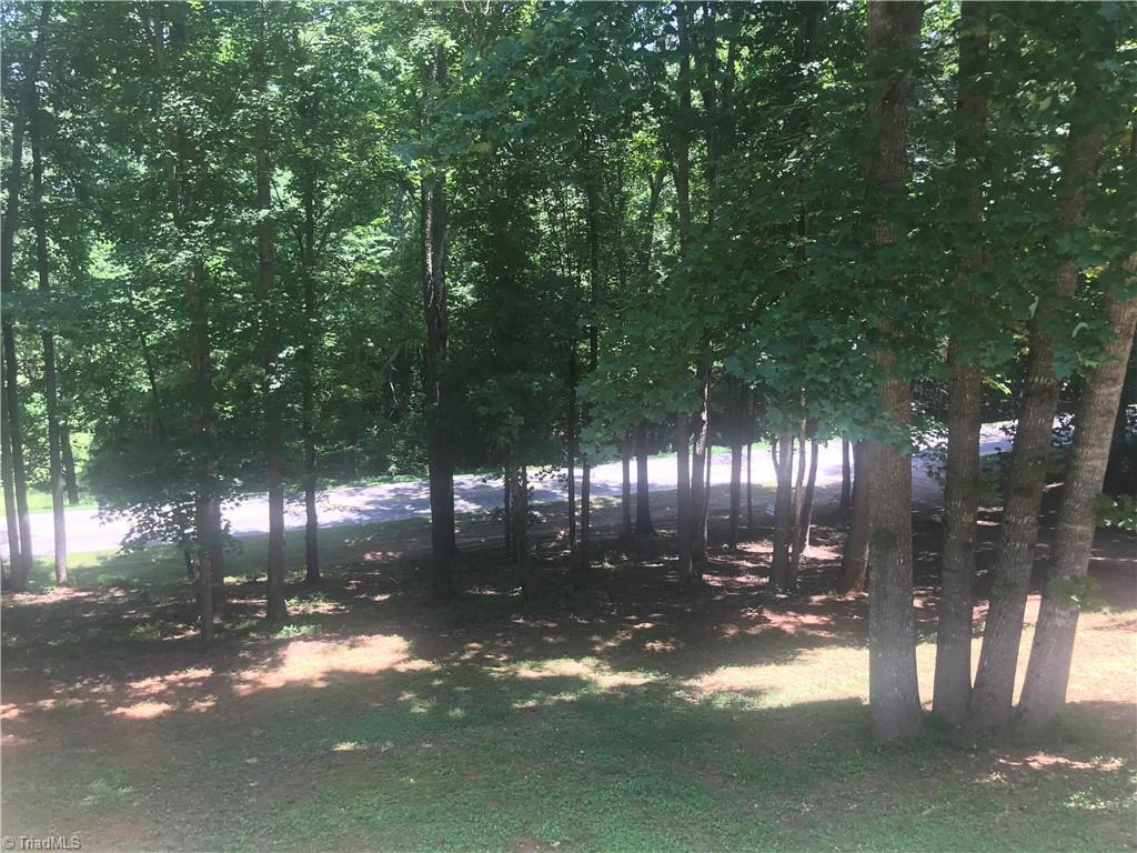 2177 Boiling Springs Road Purlear, NC 28665 - Photo 20 of 40