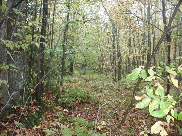$110,000 | 80-acres Bass Lake Road, Park Falls, WI 54552
