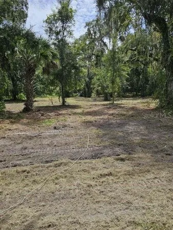 $115,000 | 152 Tall Oaks Trail, Zolfo Springs, FL 33890