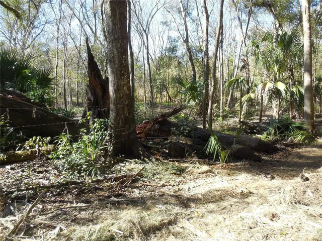 $125,000 | 152 Tall Oaks Trail, Zolfo Springs, FL 33890