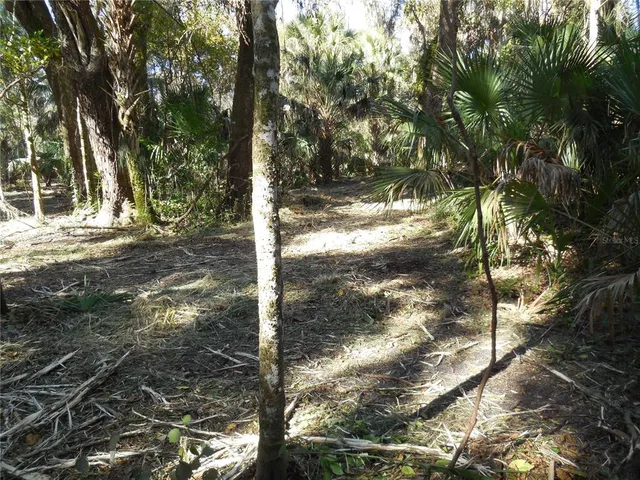 $125,000 | 152 Tall Oaks Trail, Zolfo Springs, FL 33890