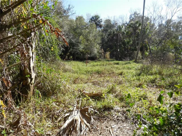 $125,000 | 152 Tall Oaks Trail, Zolfo Springs, FL 33890