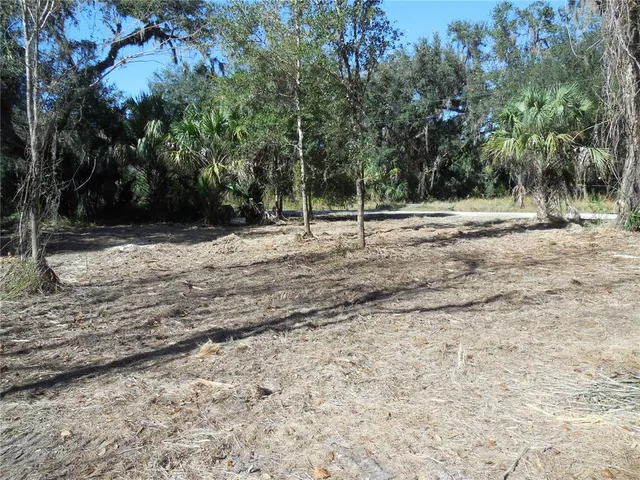 $125,000 | 152 Tall Oaks Trail, Zolfo Springs, FL 33890