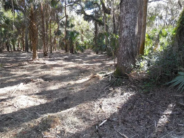 $125,000 | 152 Tall Oaks Trail, Zolfo Springs, FL 33890