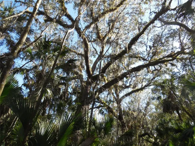 $125,000 | 152 Tall Oaks Trail, Zolfo Springs, FL 33890