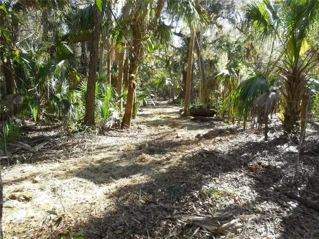 $125,000 | 152 Tall Oaks Trail, Zolfo Springs, FL 33890