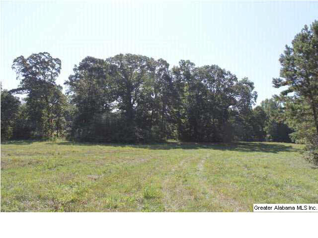619 County Road, Unit 59 5AC Woodland, AL 36280 - Photo 3 of 13