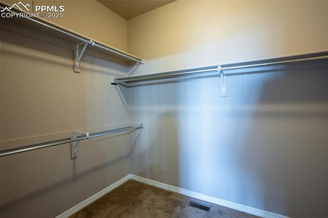 1985 Reed Grass Way Colorado Springs, CO 80915 - Photo 15 of 36 Primary closet attached to primary bathroom (main floor)