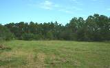 Lot 48 Edwards Road Yulee, FL 32097 - Photo 1 of 1 Gallery Image 1