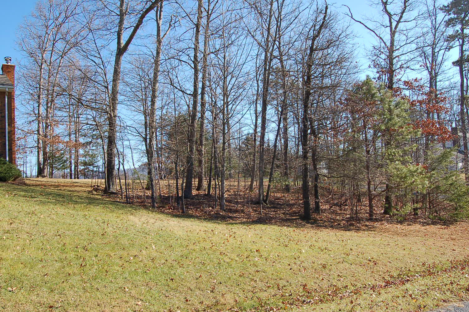 198 Oak Ridge Court Blue Ridge, VA 24064 - Photo 32 of 33 a view of a yard with large trees