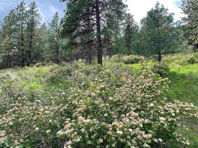 $90,000 | 1221 Shady Lane, Desmet, ID 83824