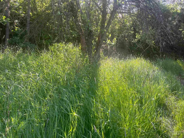 $90,000 | 1221 Shady Lane, Desmet, ID 83824