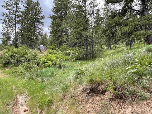 $90,000 | 1221 Shady Lane, Desmet, ID 83824