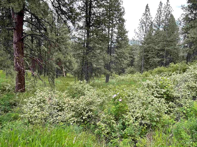 $90,000 | 1221 Shady Lane, Desmet, ID 83824