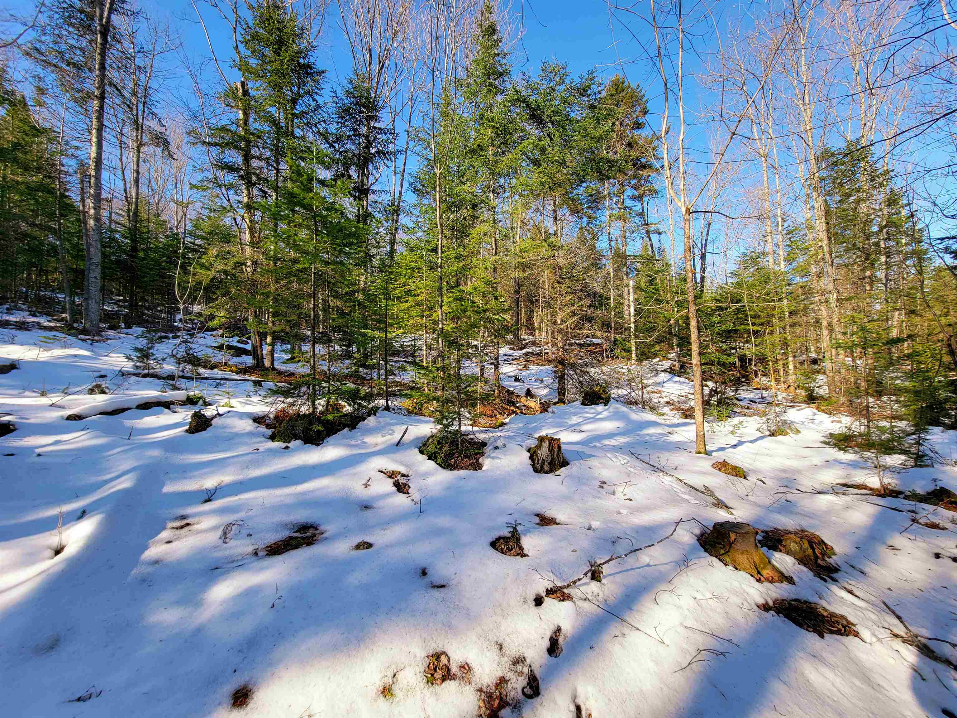 401 Wallace Road Lemington, VT 05903 - Photo 11 of 40