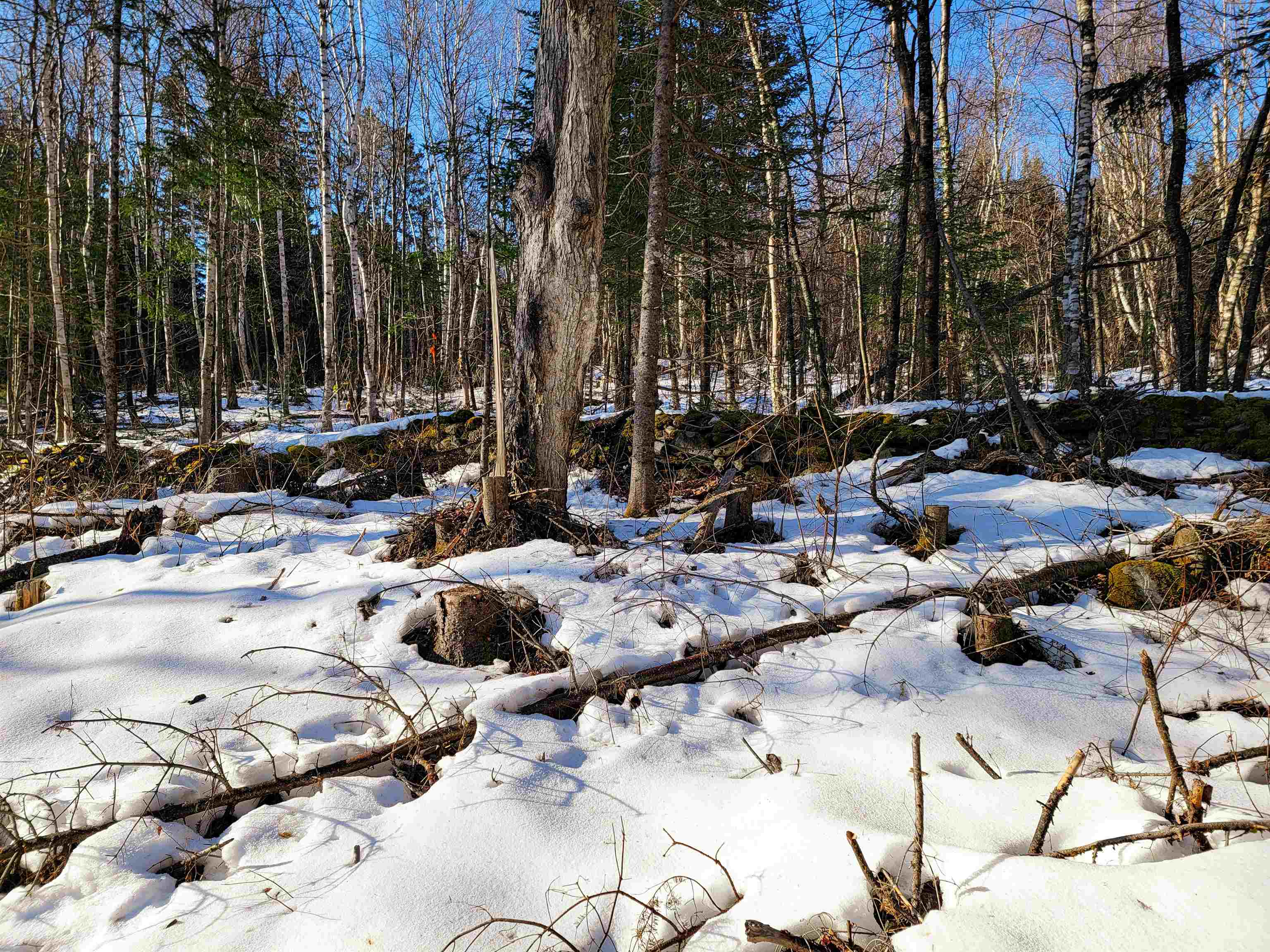 401 Wallace Road Lemington, VT 05903 - Photo 12 of 40