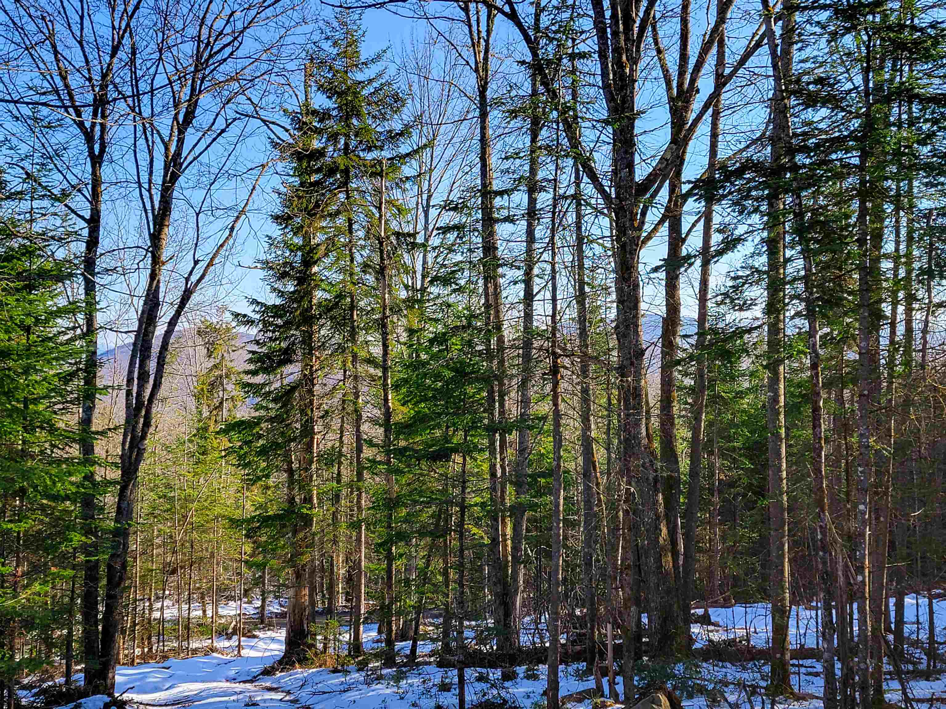 401 Wallace Road Lemington, VT 05903 - Photo 16 of 40