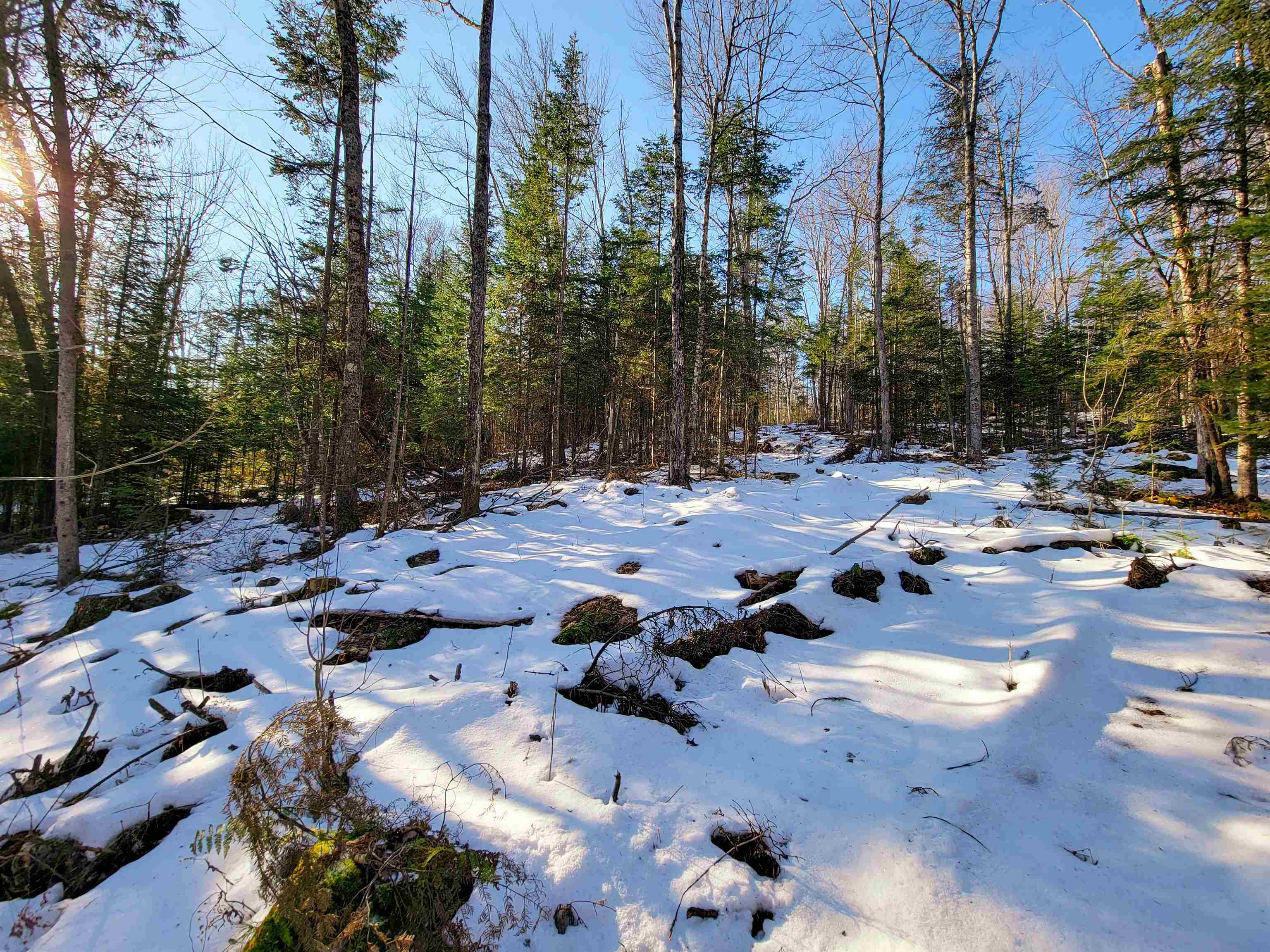 401 Wallace Road Lemington, VT 05903 - Photo 18 of 40