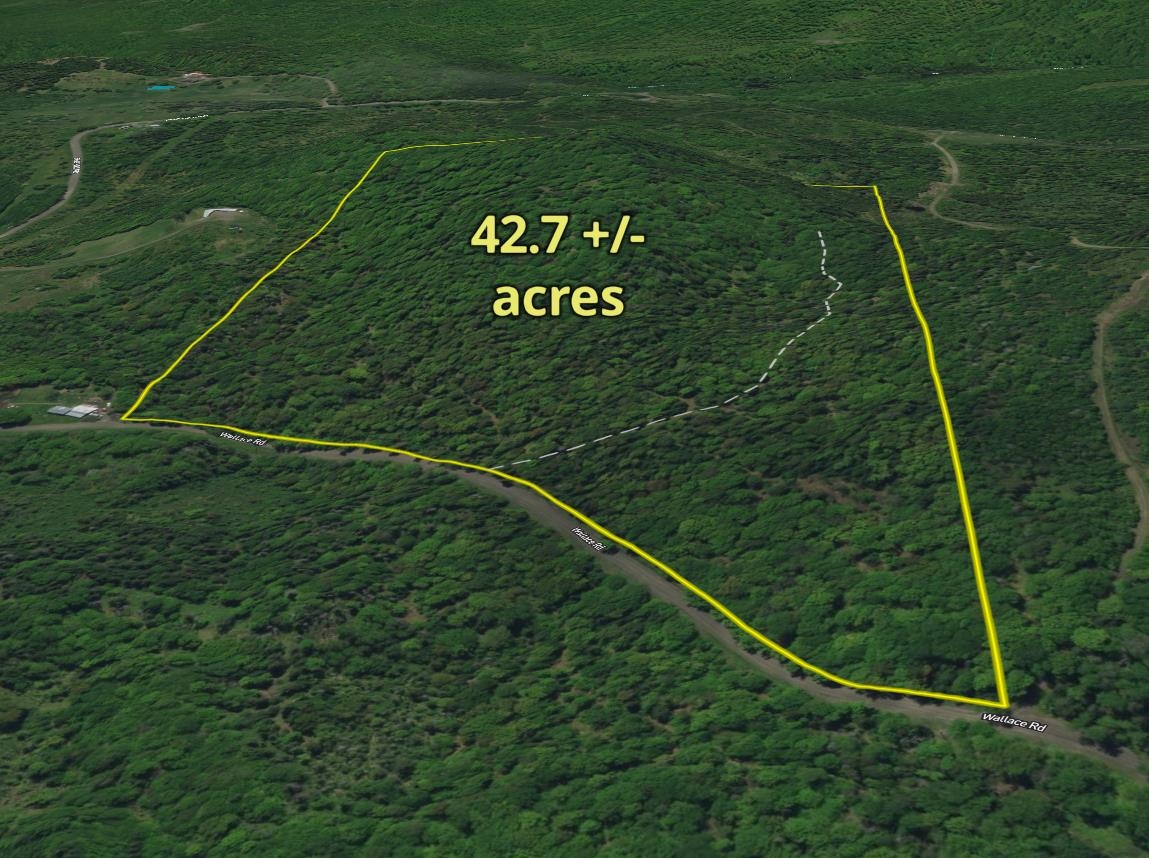401 Wallace Road Lemington, VT 05903 - Photo 23 of 40