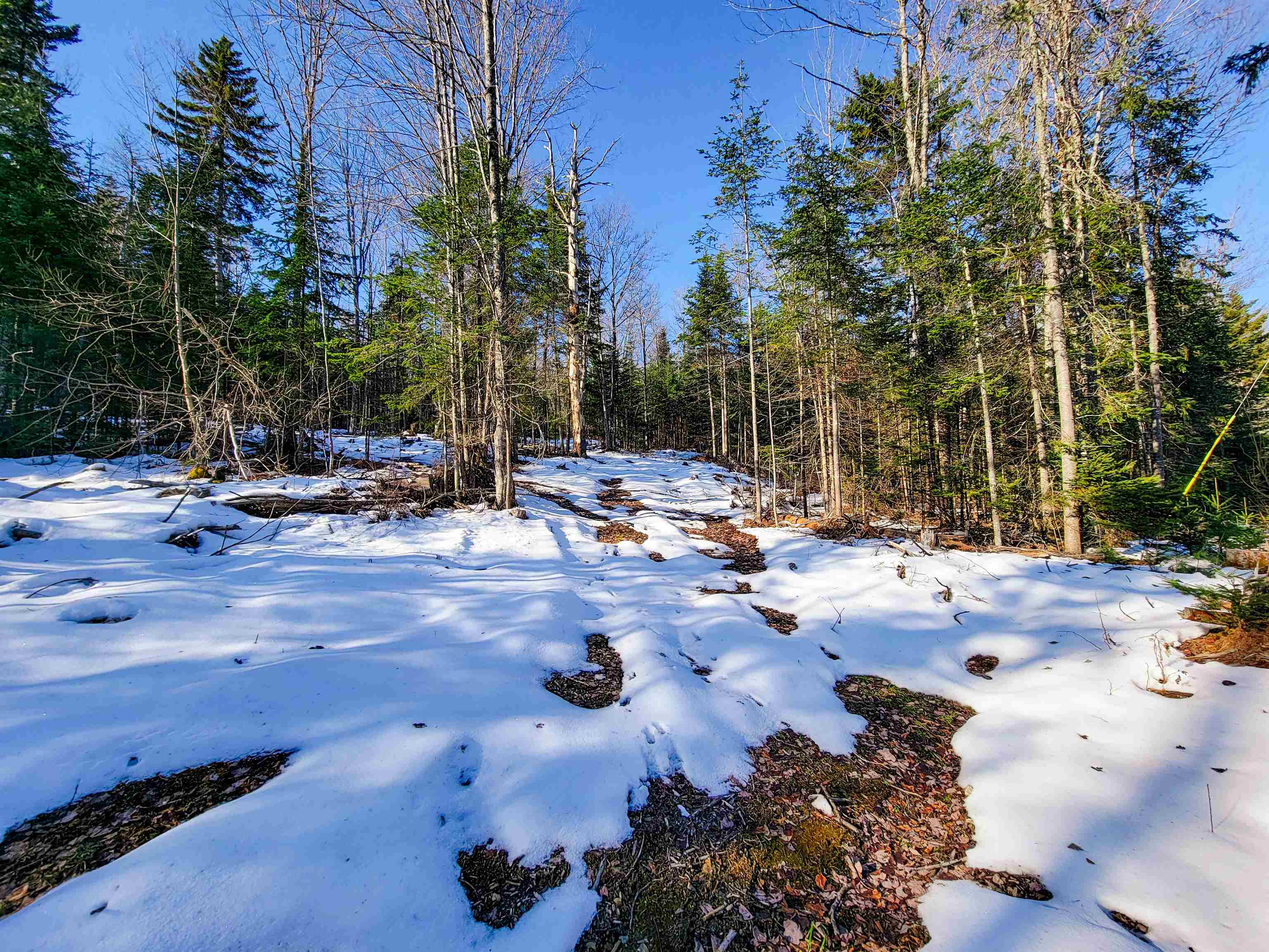 401 Wallace Road Lemington, VT 05903 - Photo 3 of 40