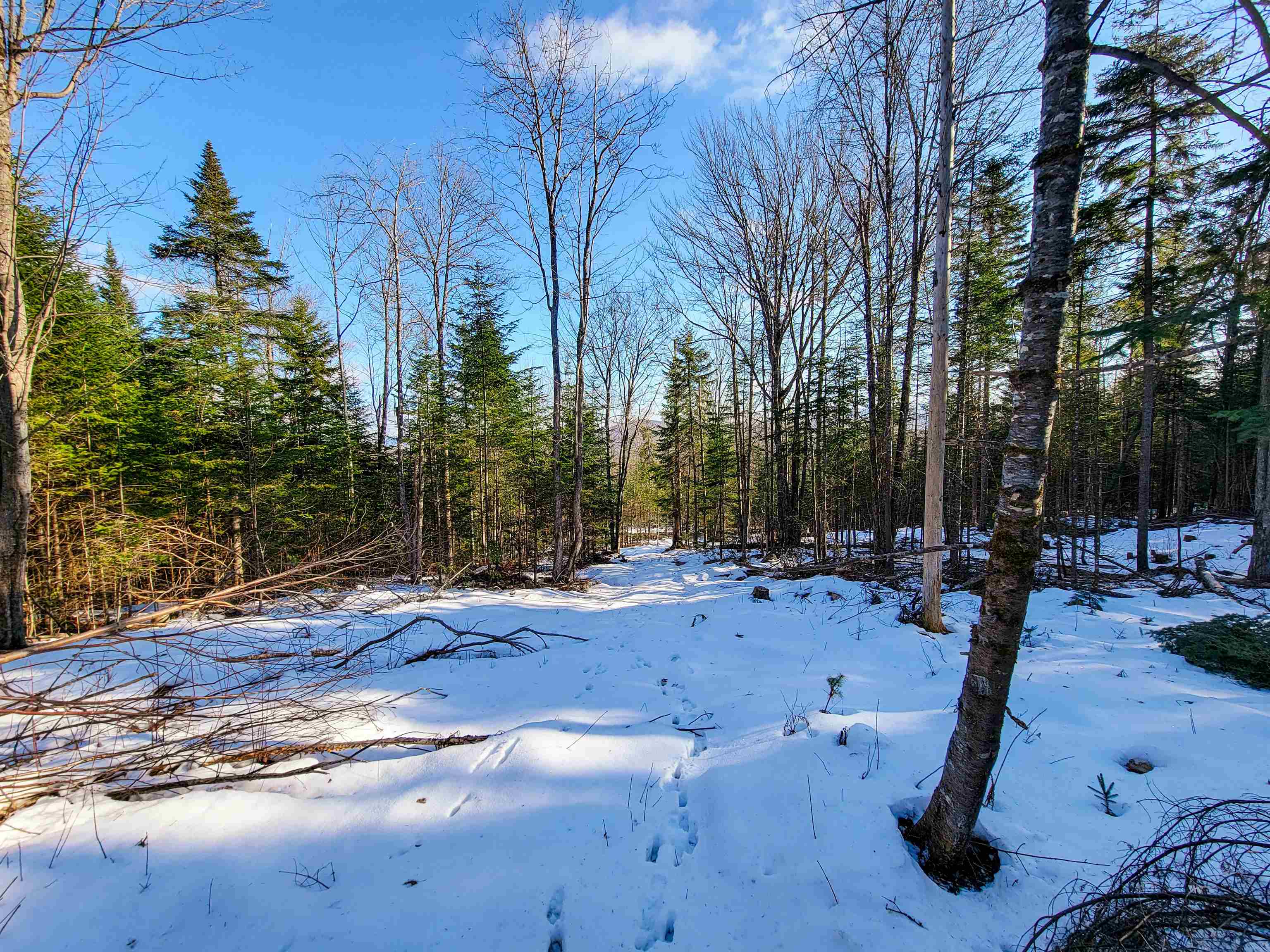 401 Wallace Road Lemington, VT 05903 - Photo 5 of 40