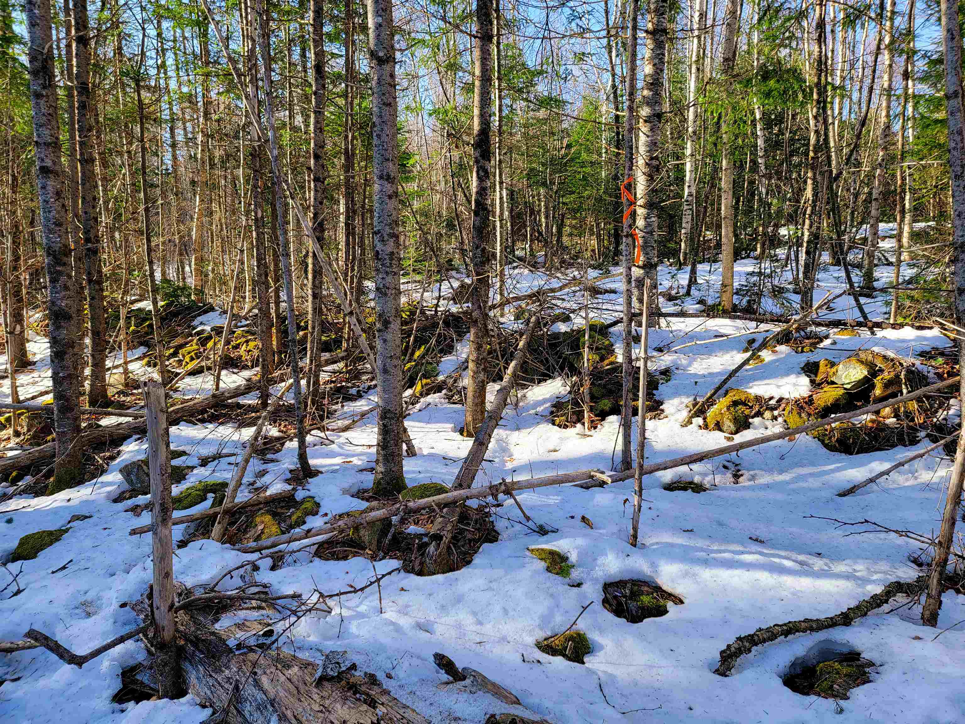 401 Wallace Road Lemington, VT 05903 - Photo 8 of 40