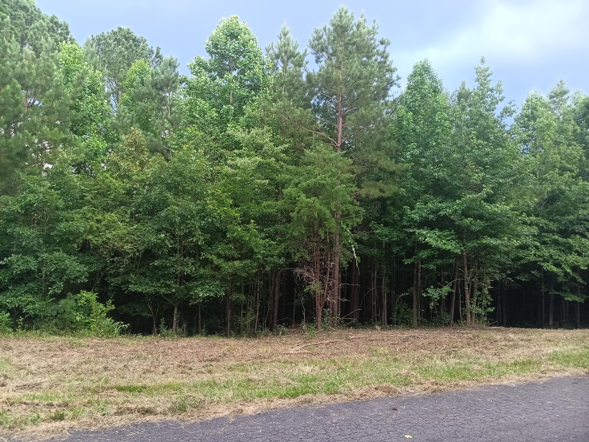 34 Washboard Road Southeast Old Fort, TN 37362 - Photo 1 of 8 Gallery Image 1