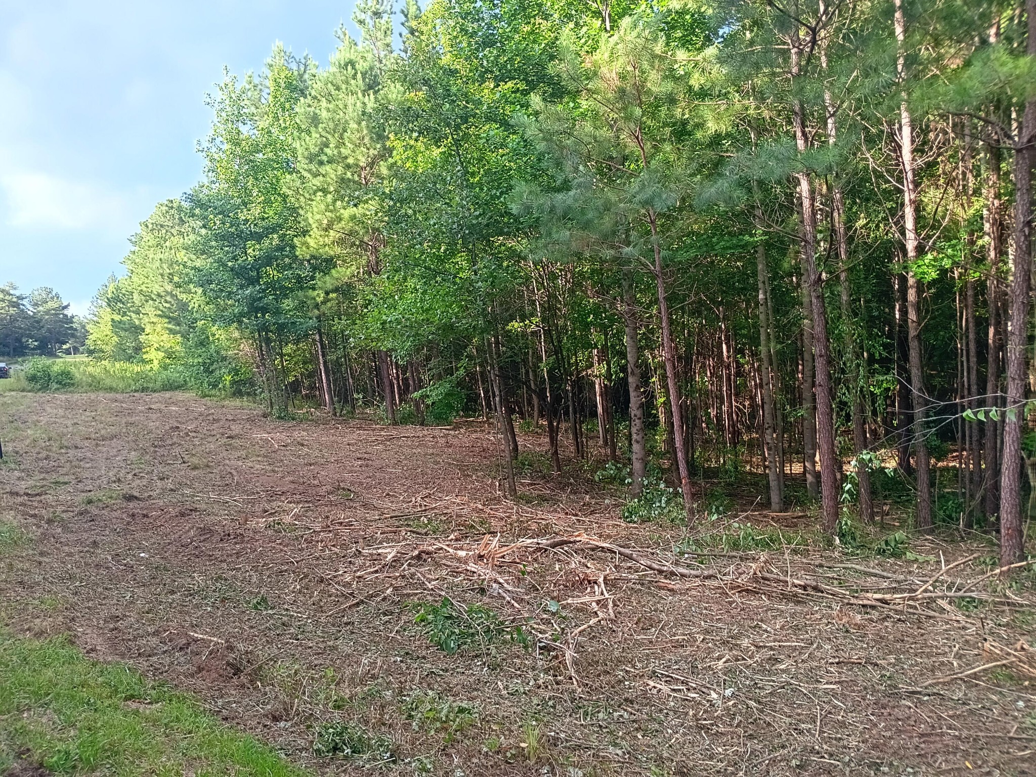 34 Washboard Road Southeast Old Fort, TN 37362 - Photo 4 of 8 Gallery Image 4