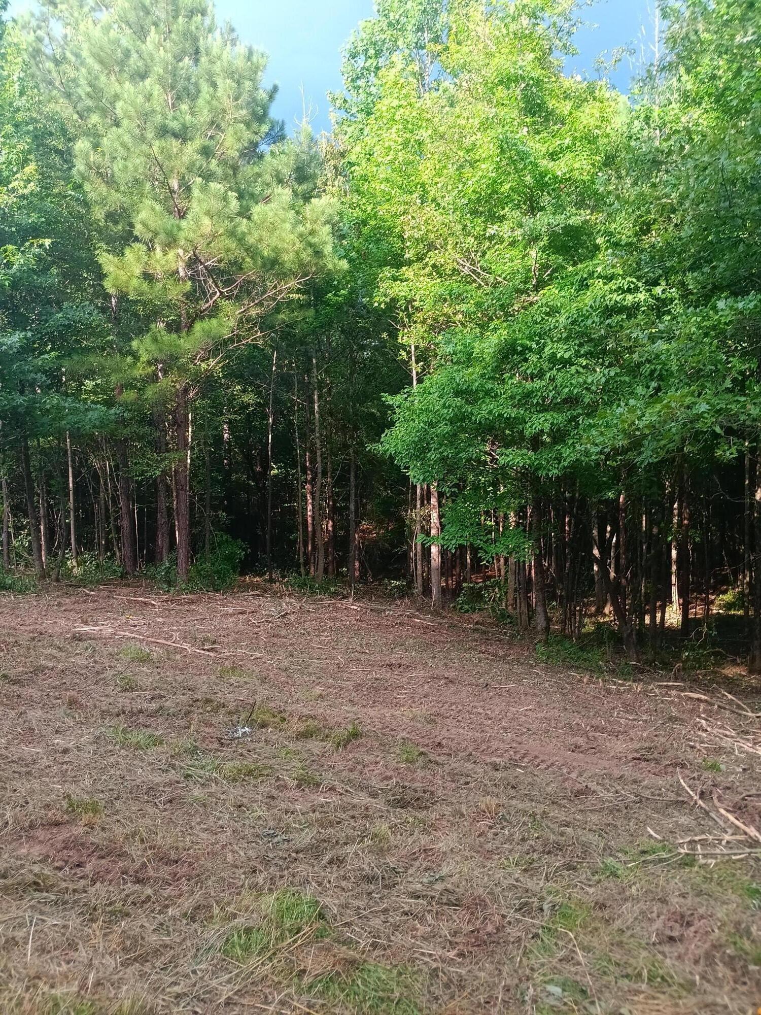 34 Washboard Road Southeast Old Fort, TN 37362 - Photo 5 of 8 Gallery Image 5
