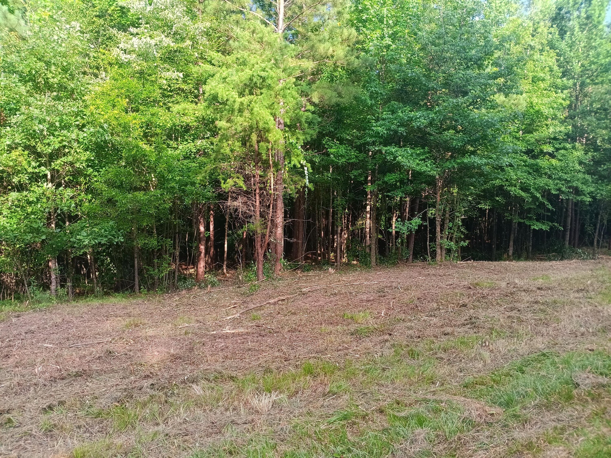 34 Washboard Road Southeast Old Fort, TN 37362 - Photo 6 of 8 Gallery Image 6