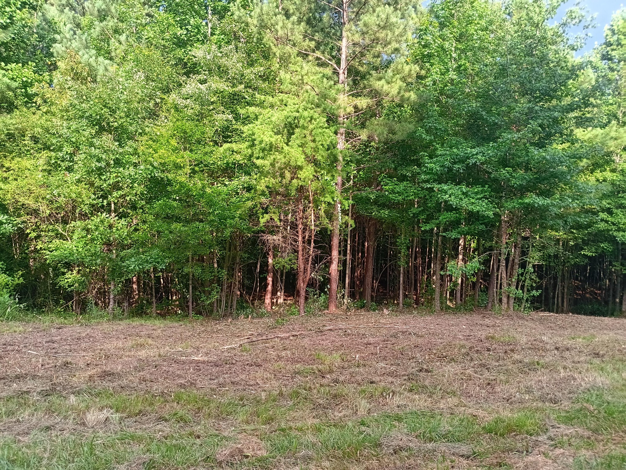 34 Washboard Road Southeast Old Fort, TN 37362 - Photo 7 of 8 Gallery Image 7