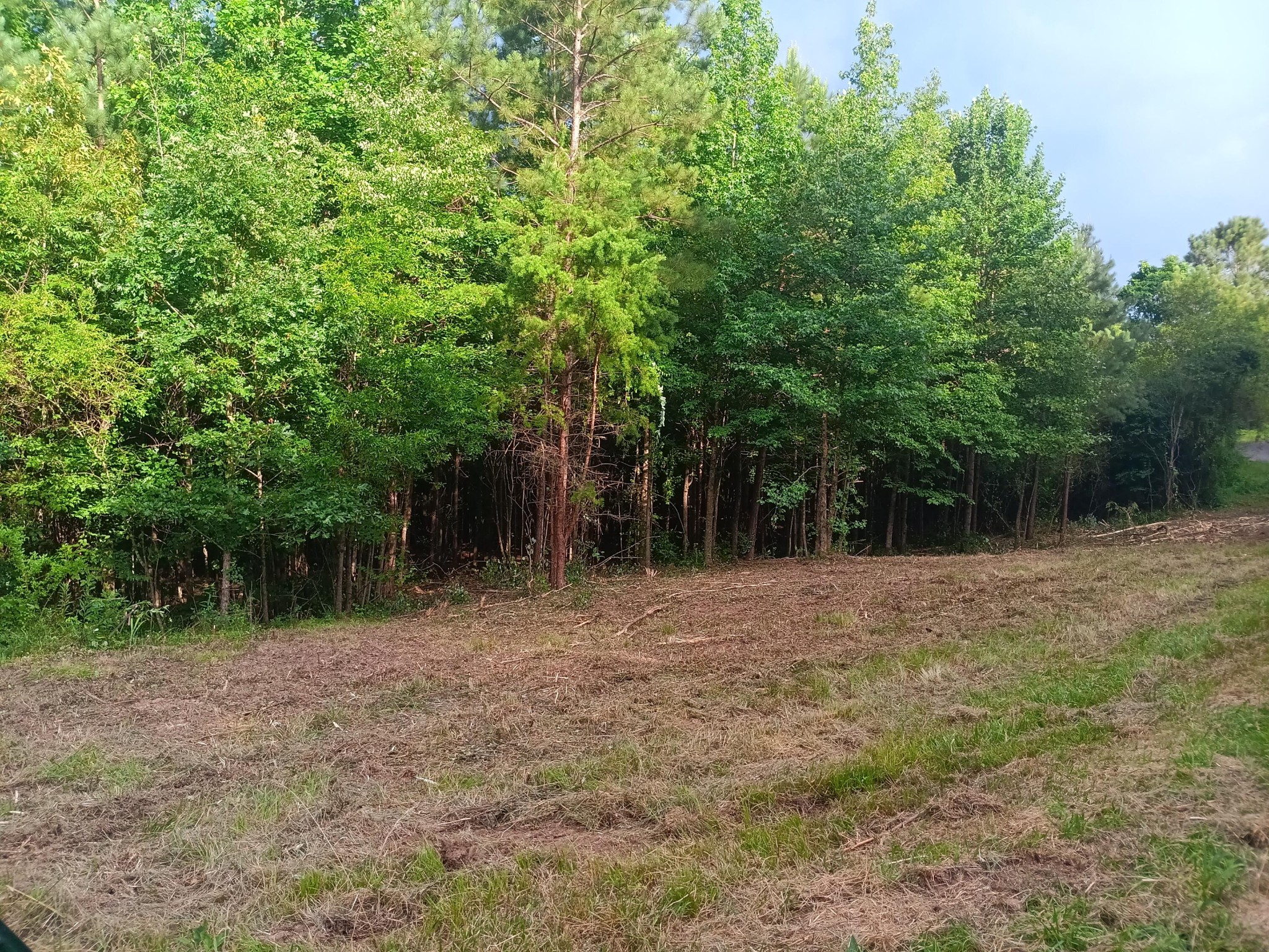 34 Washboard Road Southeast Old Fort, TN 37362 - Photo 8 of 8 Gallery Image 8