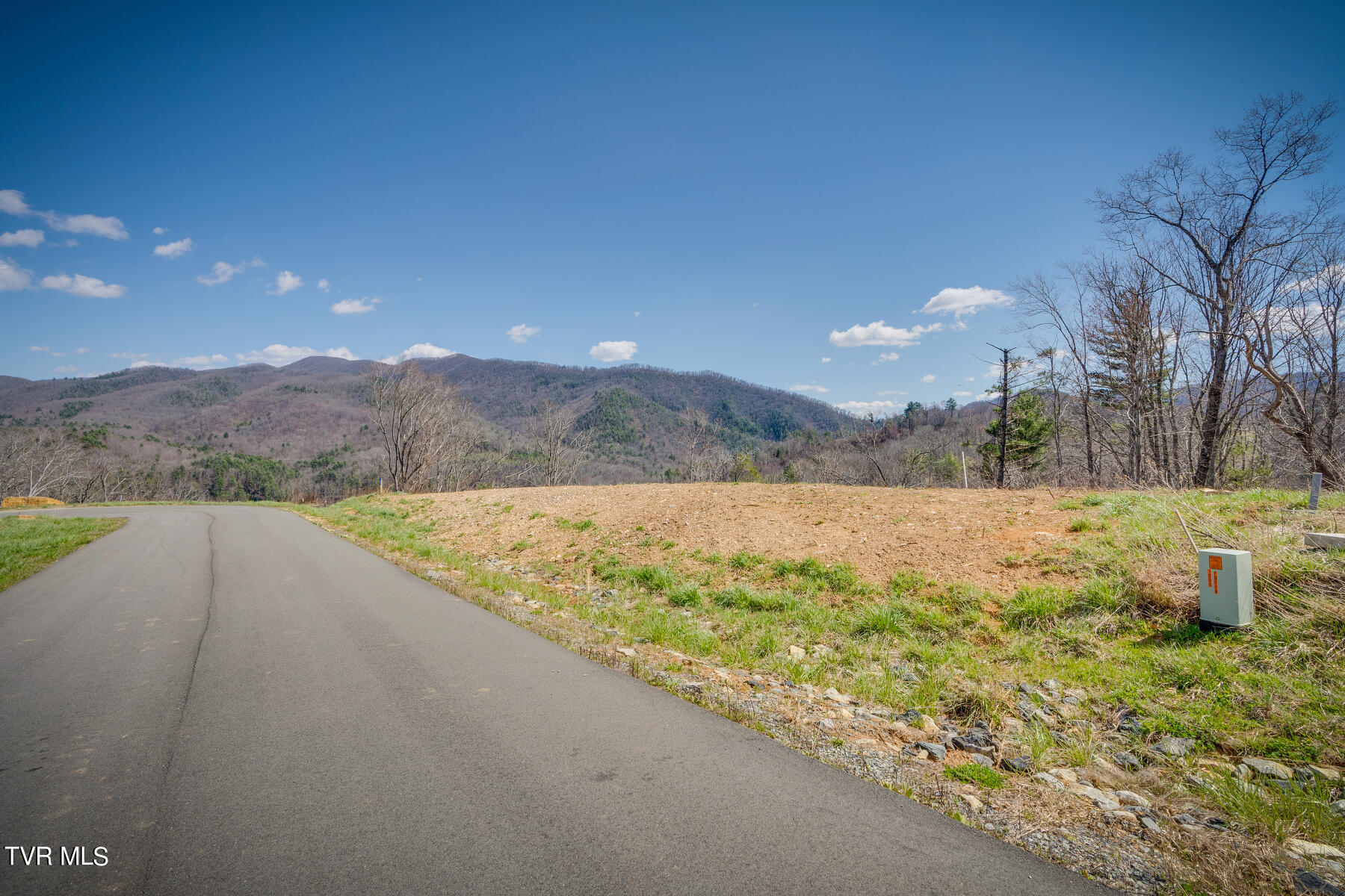 Lot 26 Cowan Town Road, Unit 26 Butler, TN 37640 - Photo 6 of 24 001