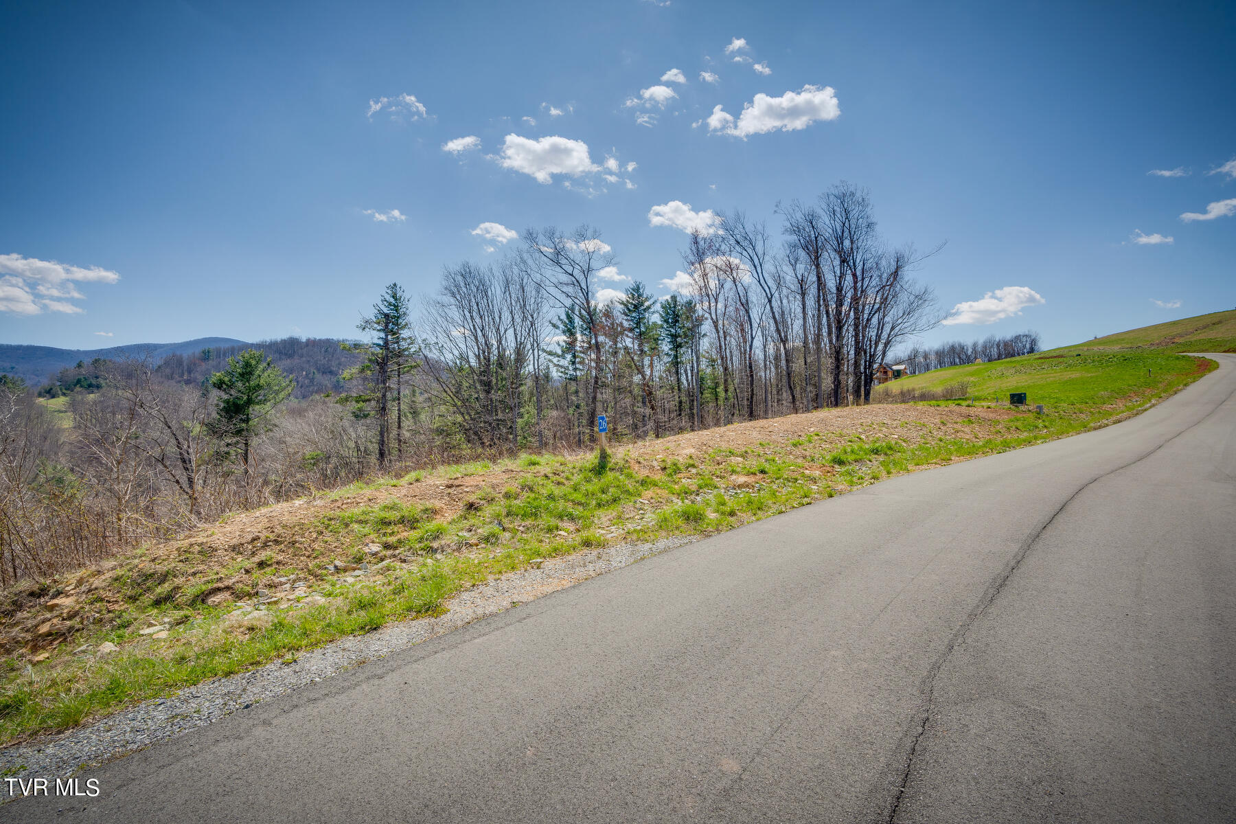 Lot 26 Cowan Town Road, Unit 26 Butler, TN 37640 - Photo 7 of 24 002