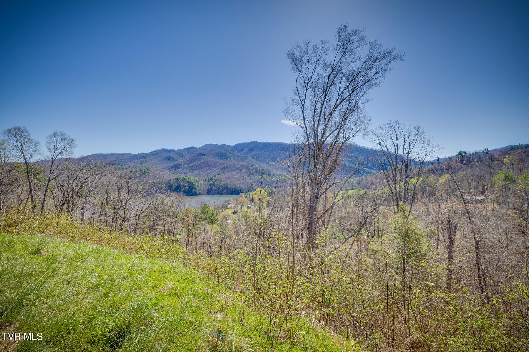 Lot 26 Cowan Town Road, Unit 26 Butler, TN 37640 - Photo 8 of 24 203