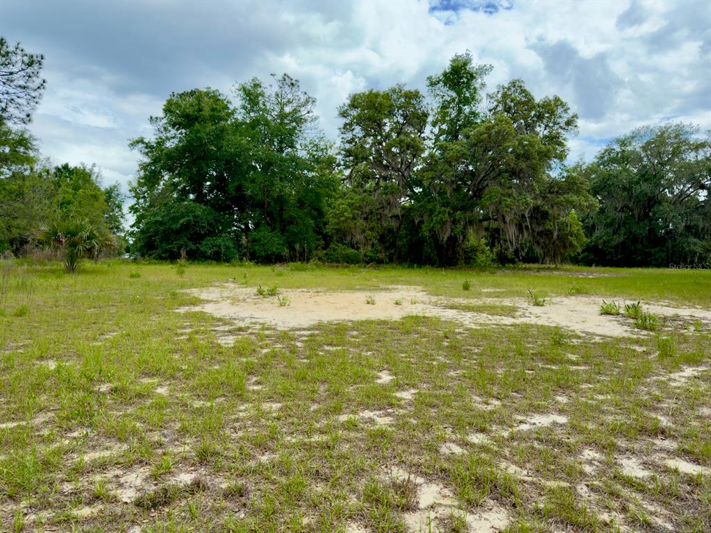 0 Southeast 146th Terrace Road Ocklawaha, FL 32179 - Photo 11 of 15 a view of a pool with a yard