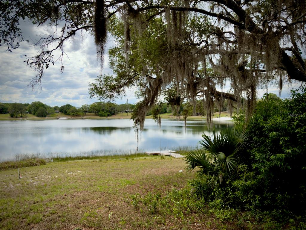 0 Southeast 146th Terrace Road Ocklawaha, FL 32179 - Photo 3 of 15 a view of lake
