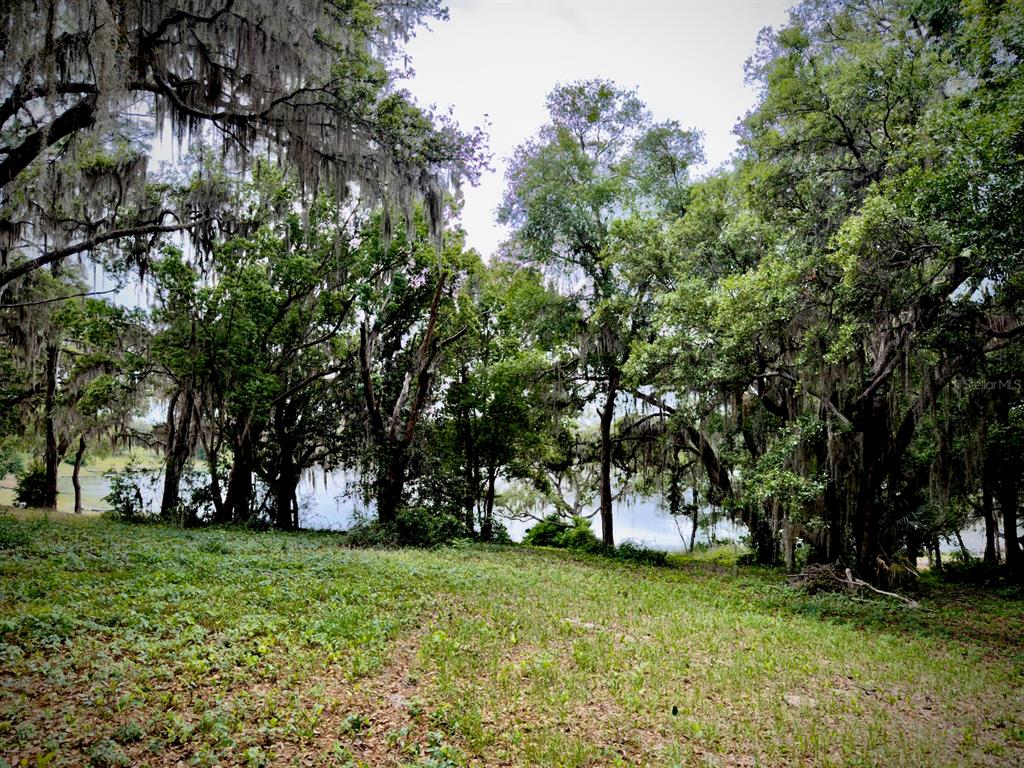 0 Southeast 146th Terrace Road Ocklawaha, FL 32179 - Photo 5 of 15 a view of outdoor space