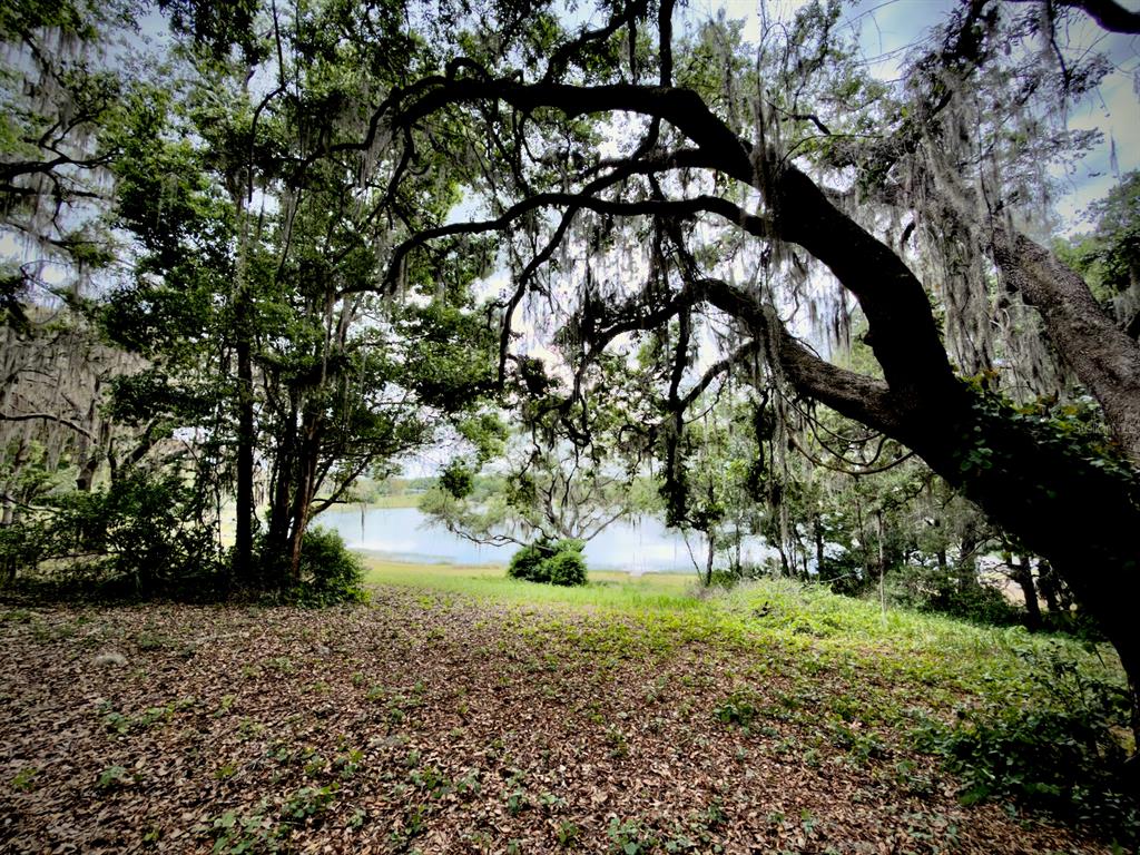 0 Southeast 146th Terrace Road Ocklawaha, FL 32179 - Photo 6 of 15 a view of outdoor space