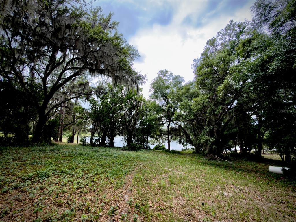0 Southeast 146th Terrace Road Ocklawaha, FL 32179 - Photo 7 of 15 a view of park with trees