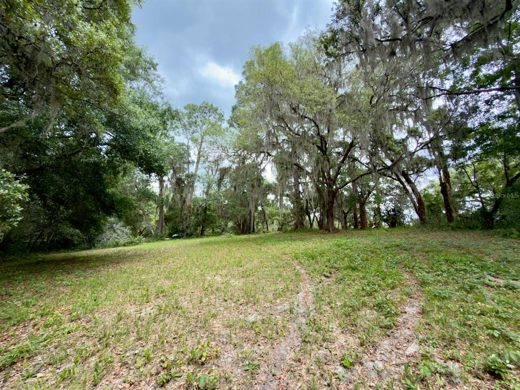 0 Southeast 146th Terrace Road Ocklawaha, FL 32179 - Photo 8 of 15 a view of a field with trees in the background