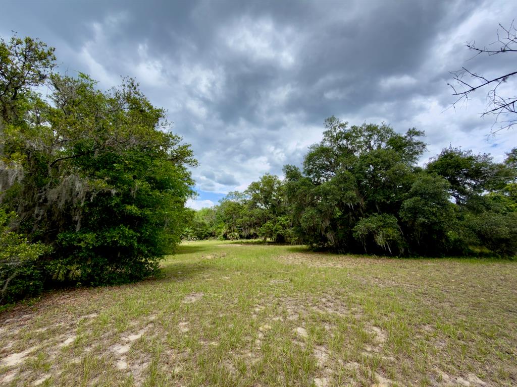 0 Southeast 146th Terrace Road Ocklawaha, FL 32179 - Photo 9 of 15 a view of yard with green space