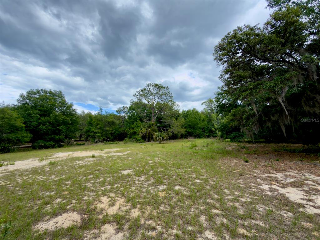 0 Southeast 146th Terrace Road Ocklawaha, FL 32179 - Photo 10 of 15 a view of a field with trees in the background