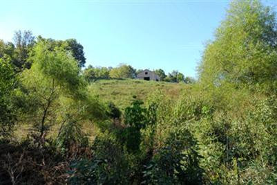 1785 Highview Church Road Bloomfield, KY 40008 - Photo 3 of 28 Metal barn on hill has 2 stalls, hayloft